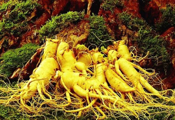 Thuốc tự nhiên cho tiềm năng